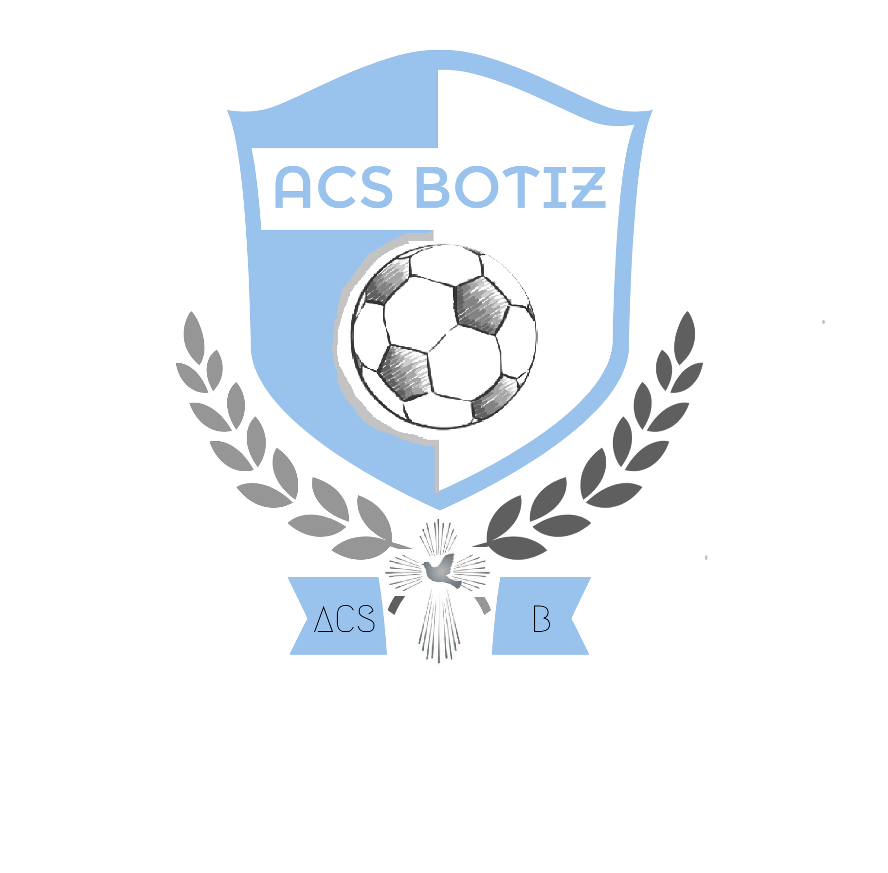 Asociatia Club Sportiv Botiz