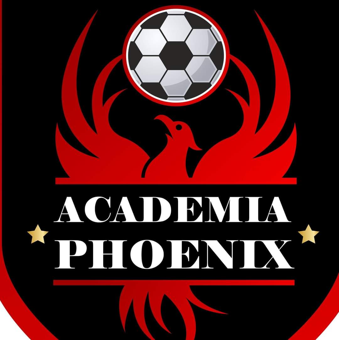 ASOCIAȚIA ACADEMIA CLUB SPORTIV PHEONIX PAȘCANI