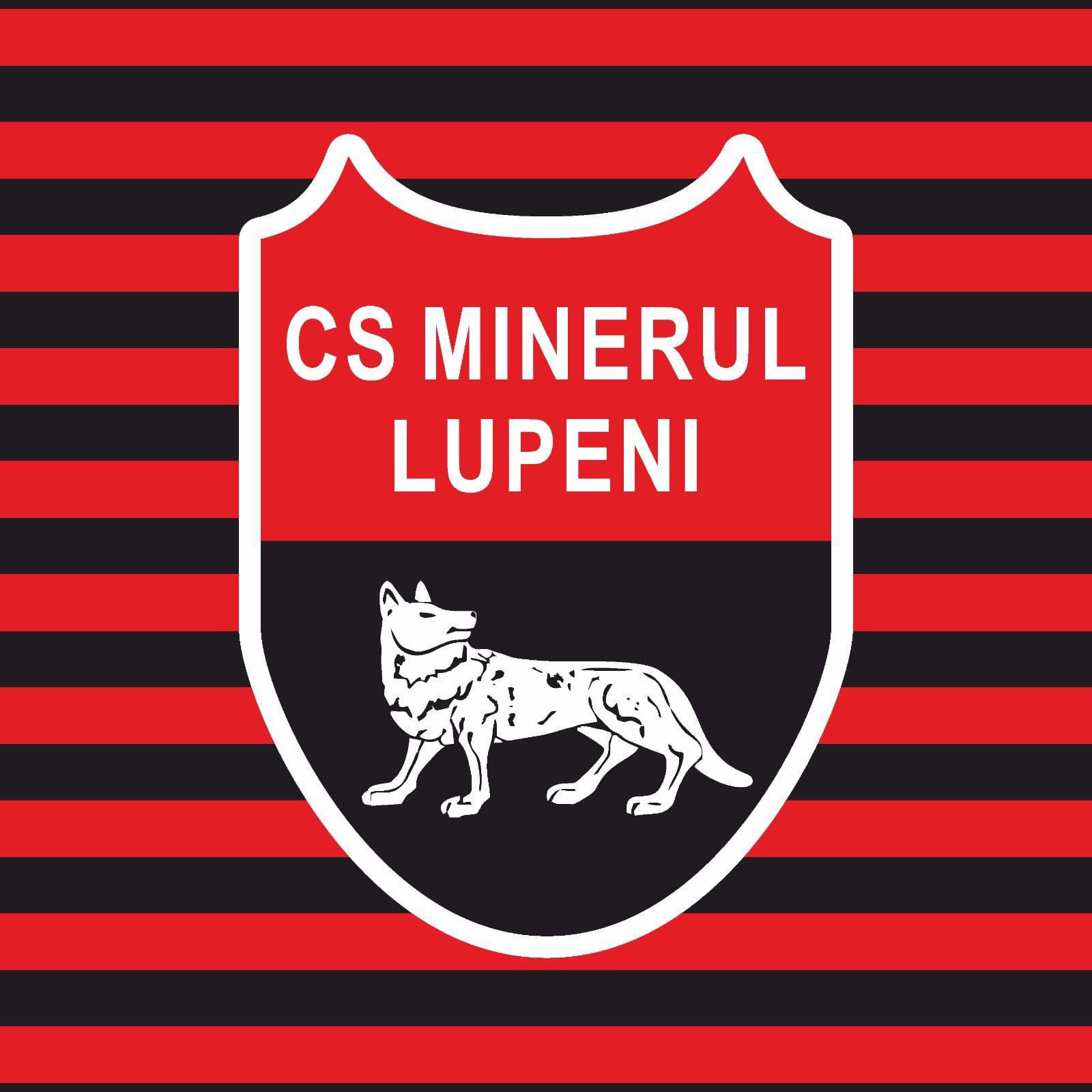 Minerul Lupeni