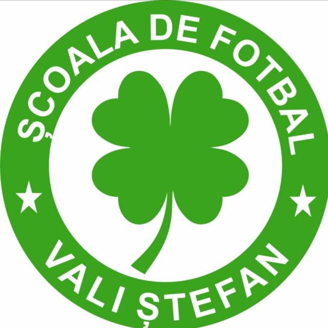 Scoala de fotbal Vali Ștefan