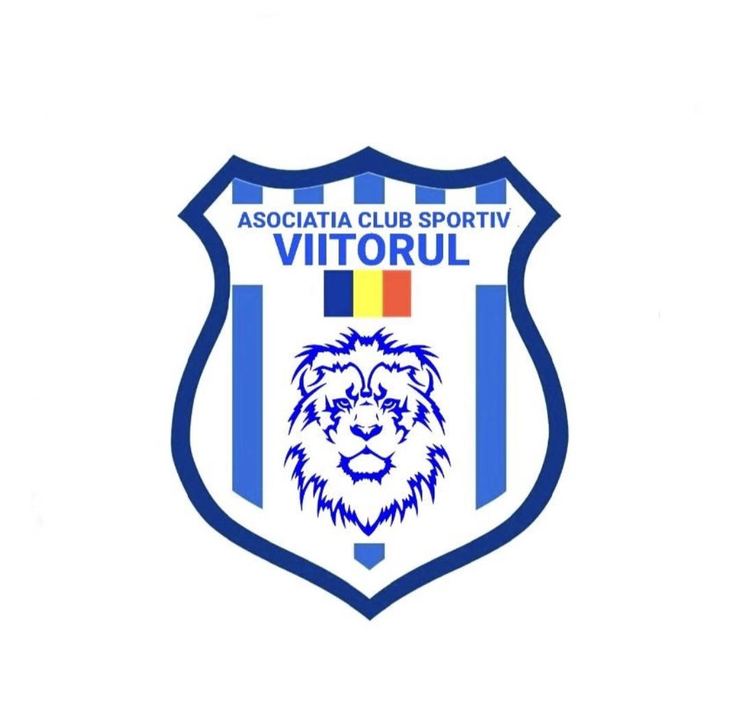 ASOCIATIA CLUBUL SPORTIV VIITORUL IPOTESTI