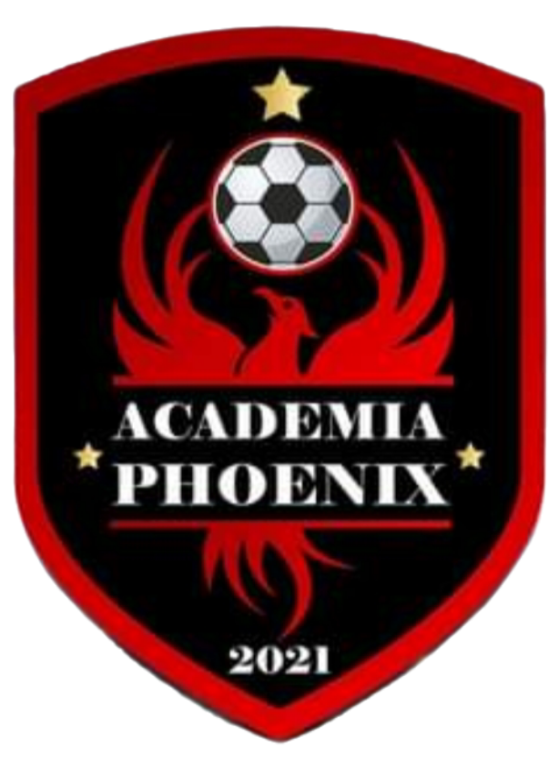 AACS PHOENIX PAȘCANI 2017