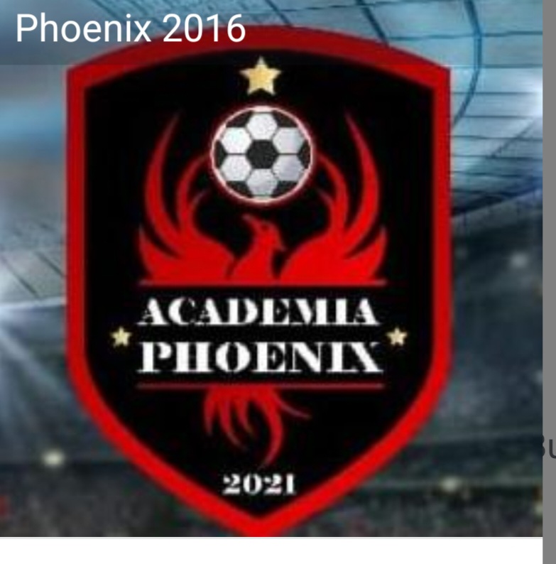 AACS PHOENIX PASCANI 2016