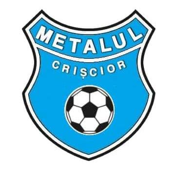 ACS METALUL Criscior-Brad