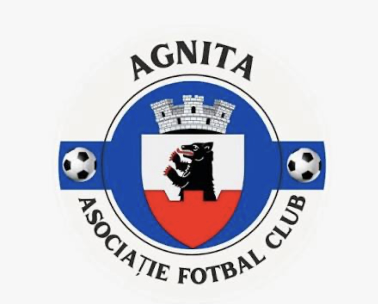 ASOCIAȚIE FOTBAL CLUB AGNITA ( AFC AGNITA