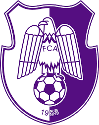ACSC Fotbal Club Arges