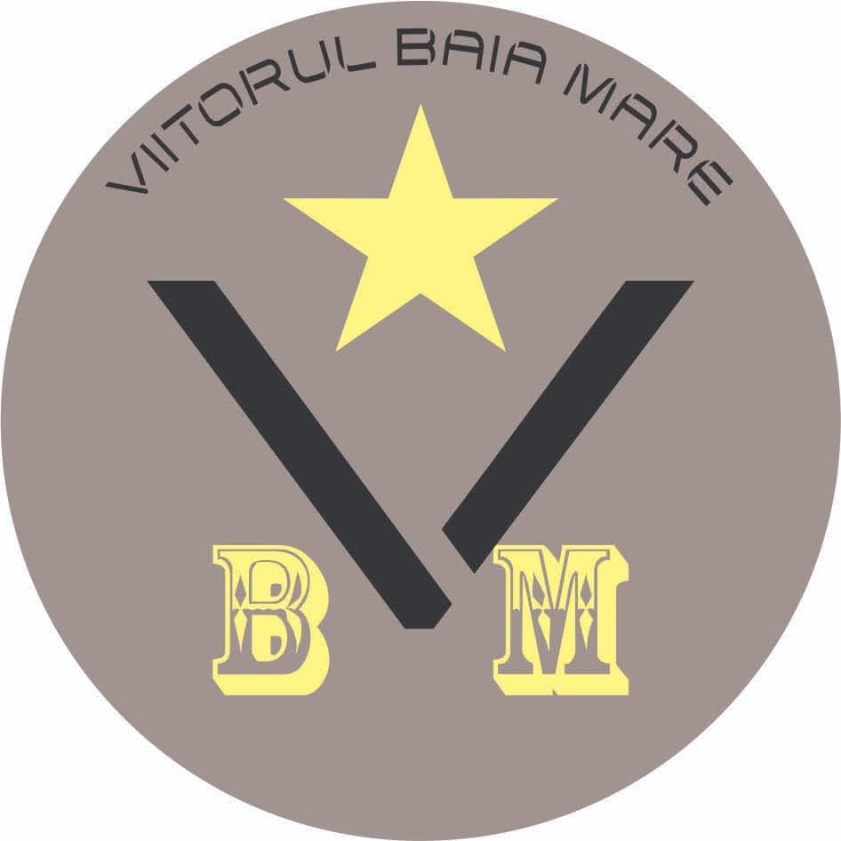 A S Viitorul Baia Mare