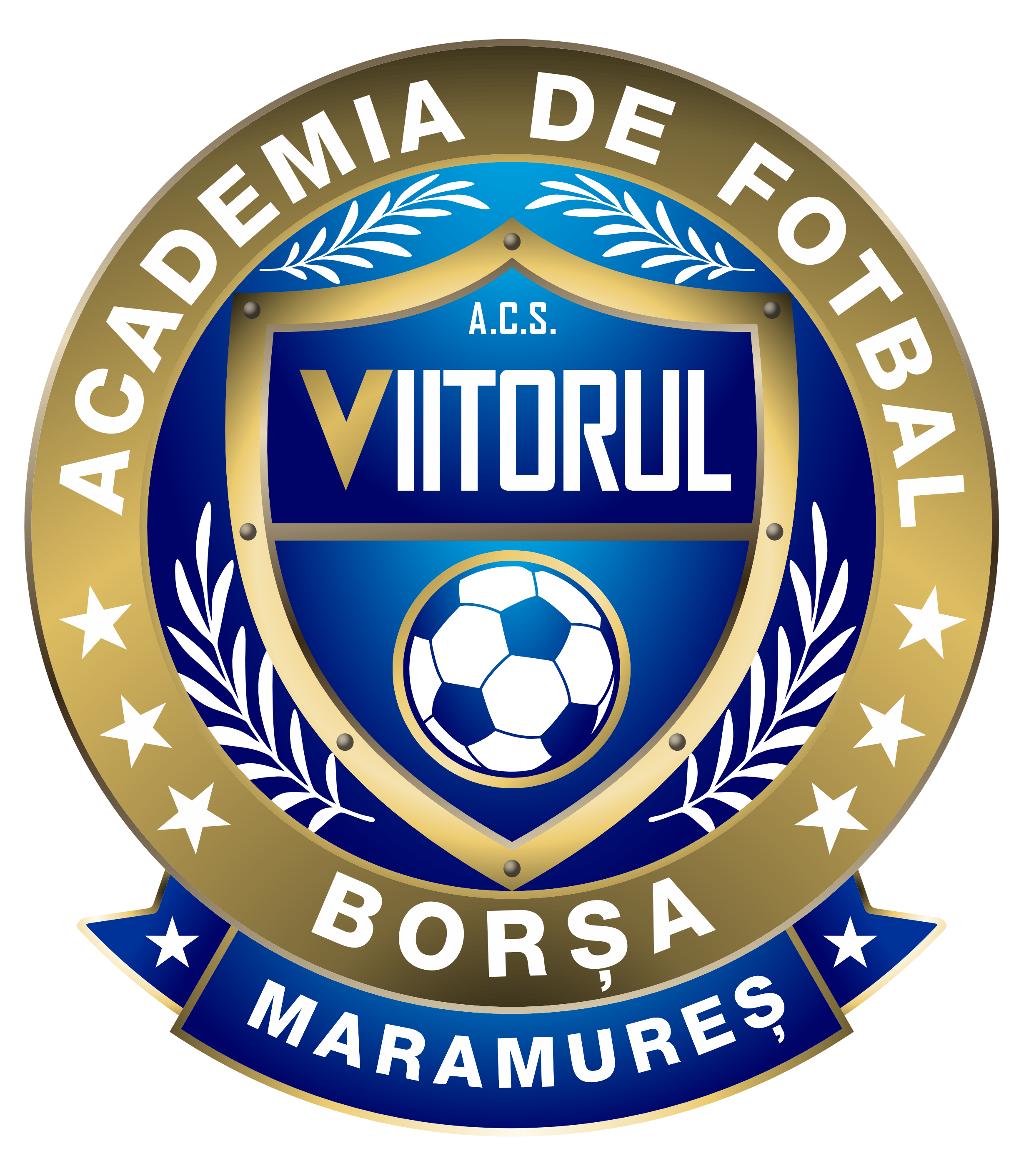 Asociației Club Sportiv Academia de Fotbal Viitorul Borșa Maramureș