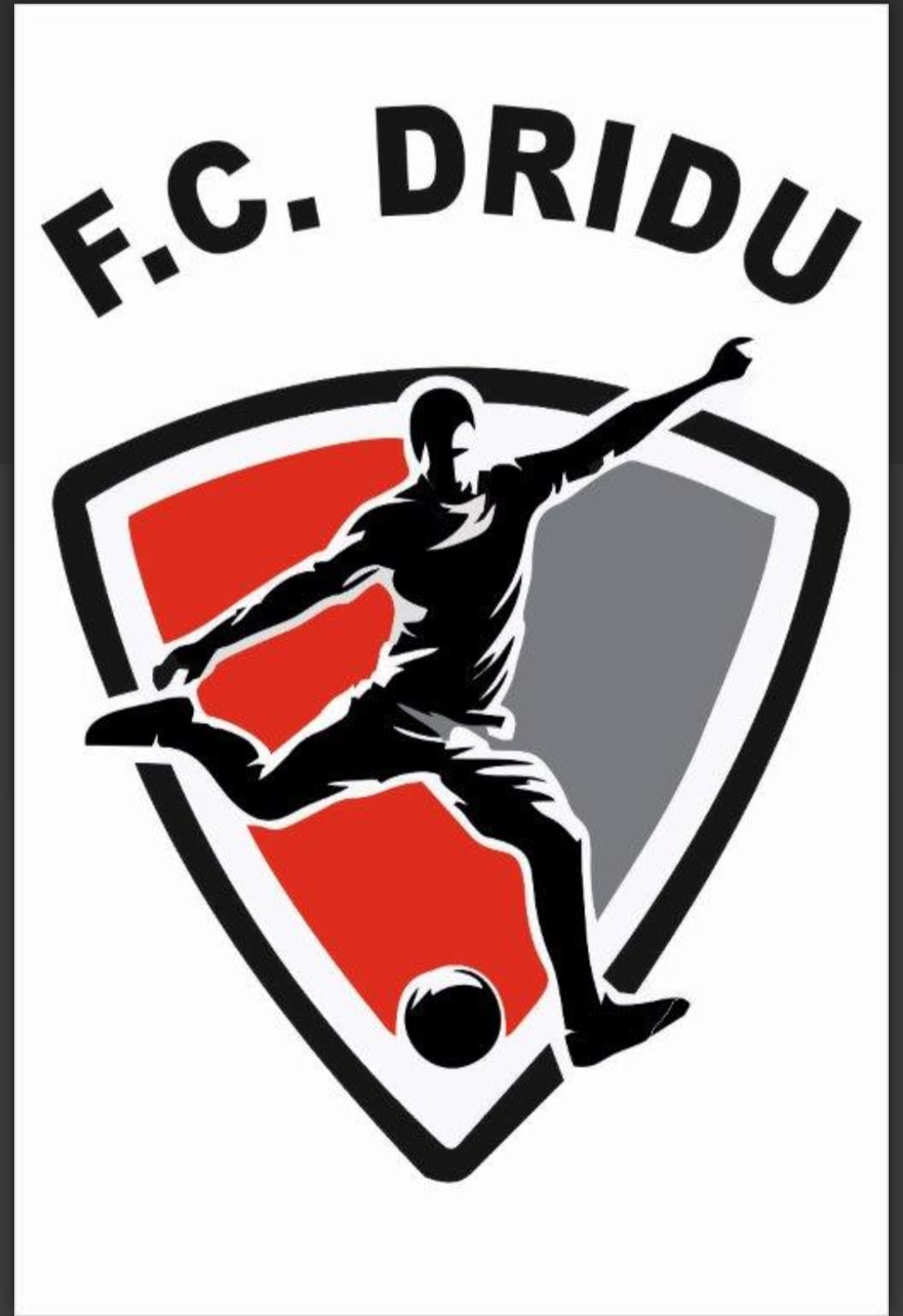 FC Dridu