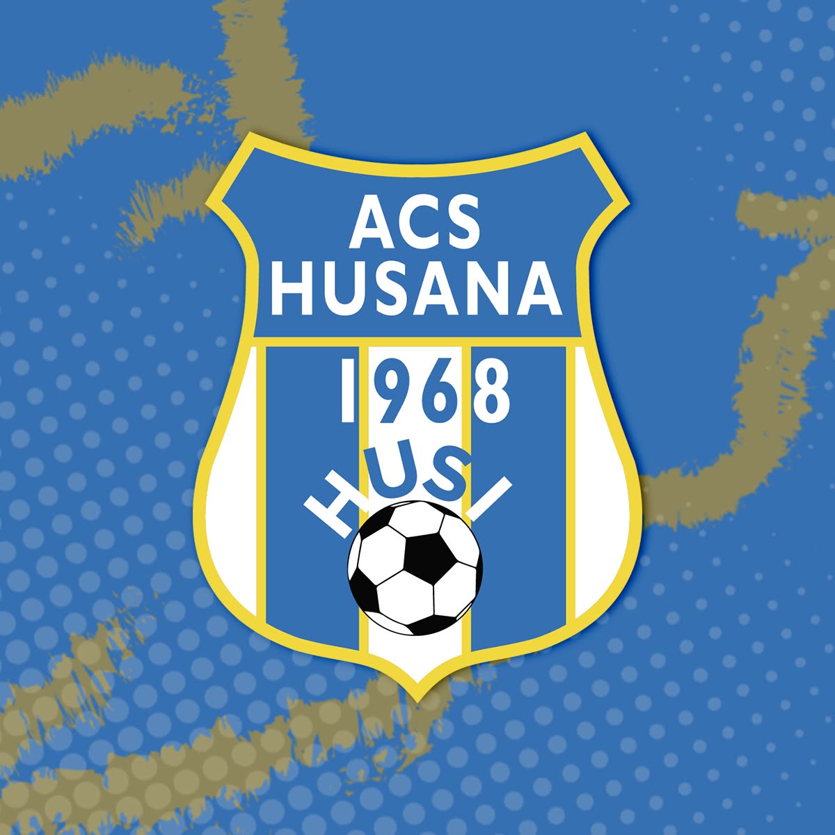 Asociația Clubul Sportiv Hușana