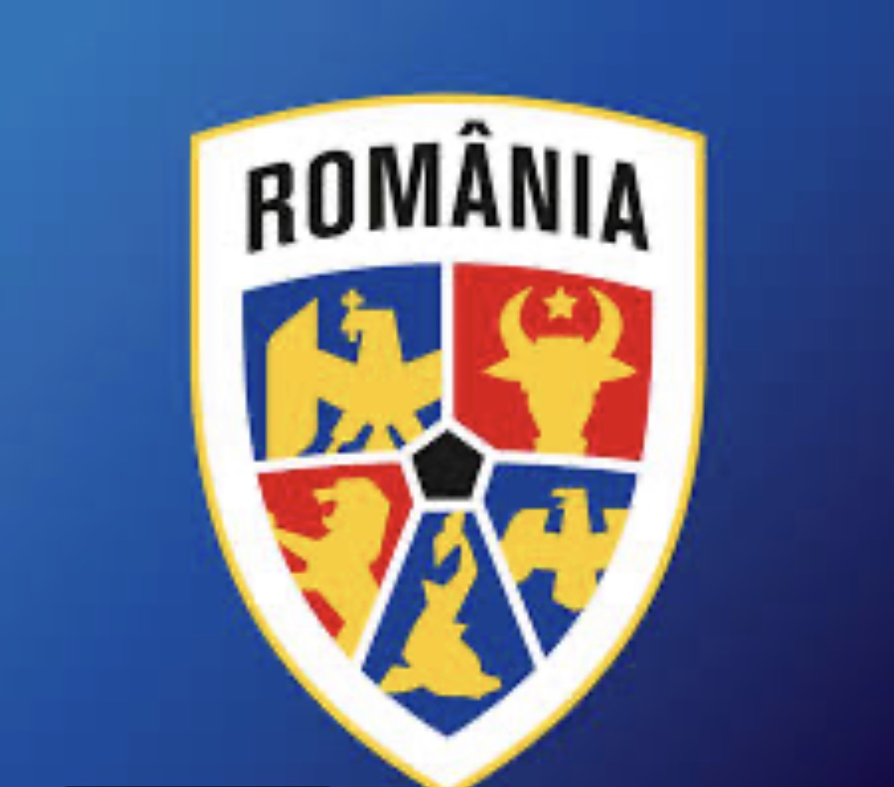 FC Orizont
