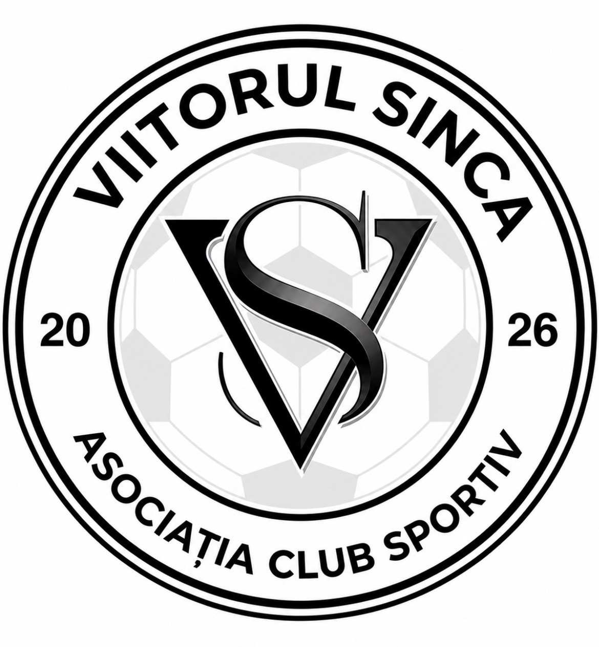 Acs Viitorul Sinca