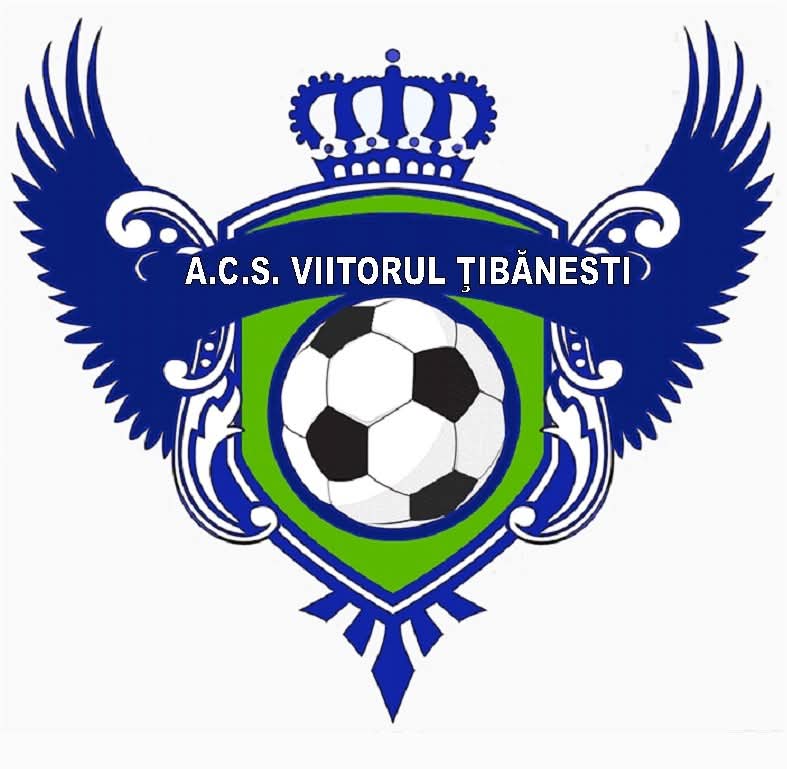VIITORUL TIBANESTI