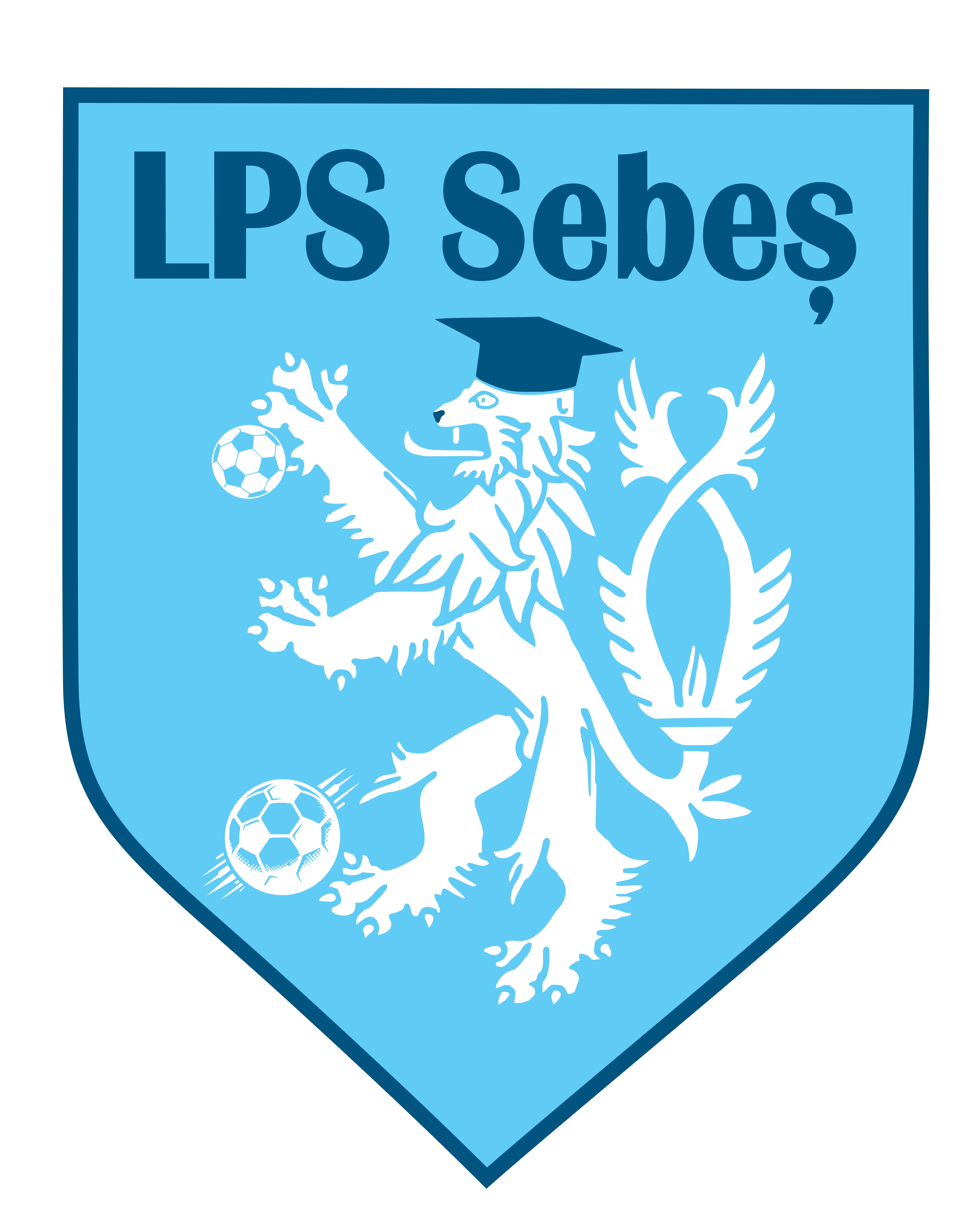 Liceul cu Program Sportiv Florin Fleseriu