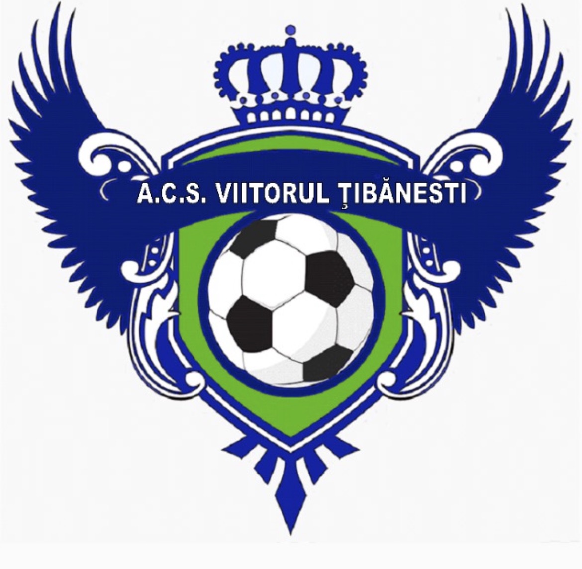A.C.S VIITORUL TIBANESTI