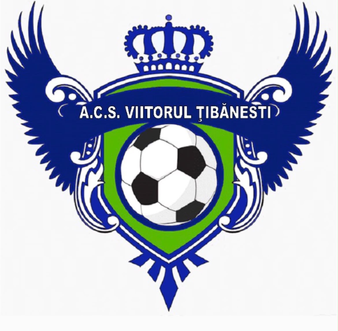 A.C.S VIITORUL TIBANESTI