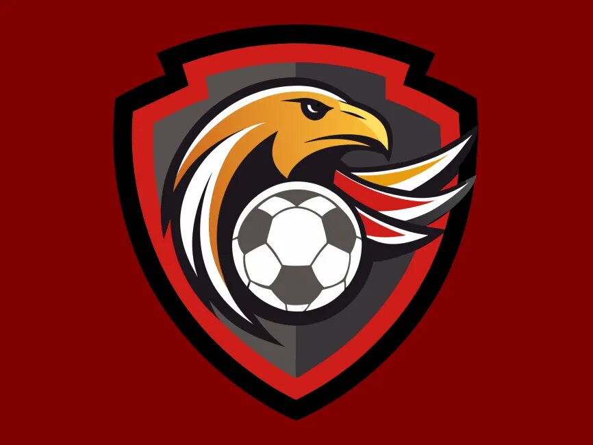 CLUB SPORTIV BRAVO