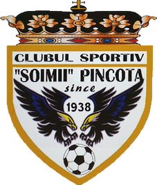 Șoimii Pâncota