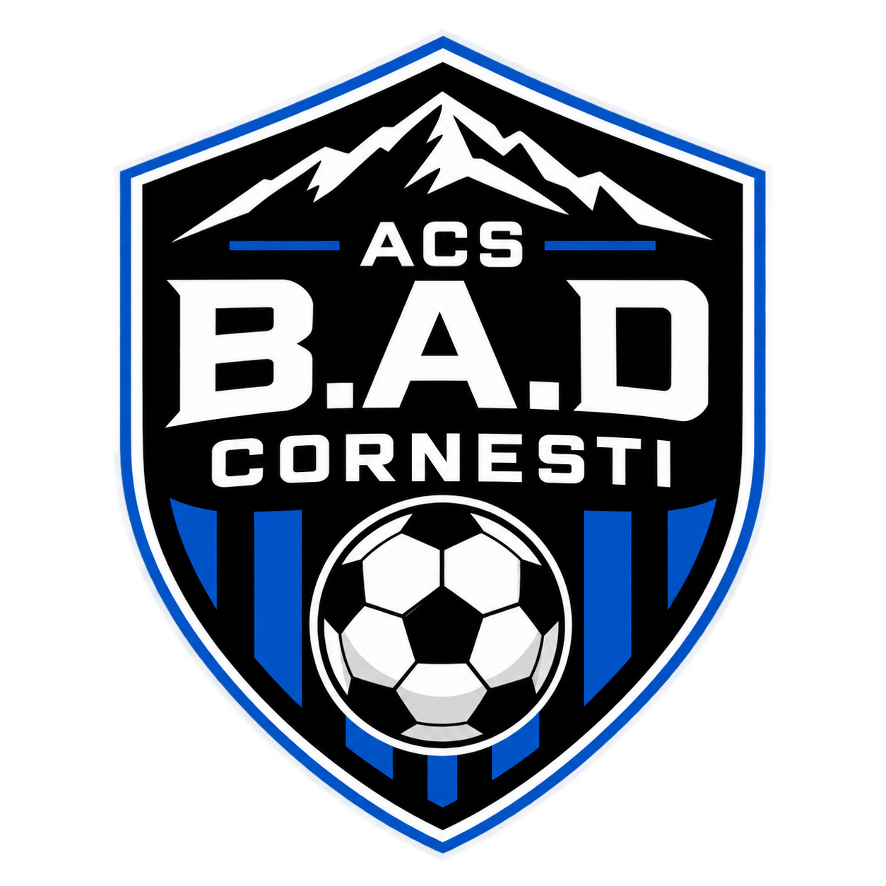 ACS B.A.D Cornesti