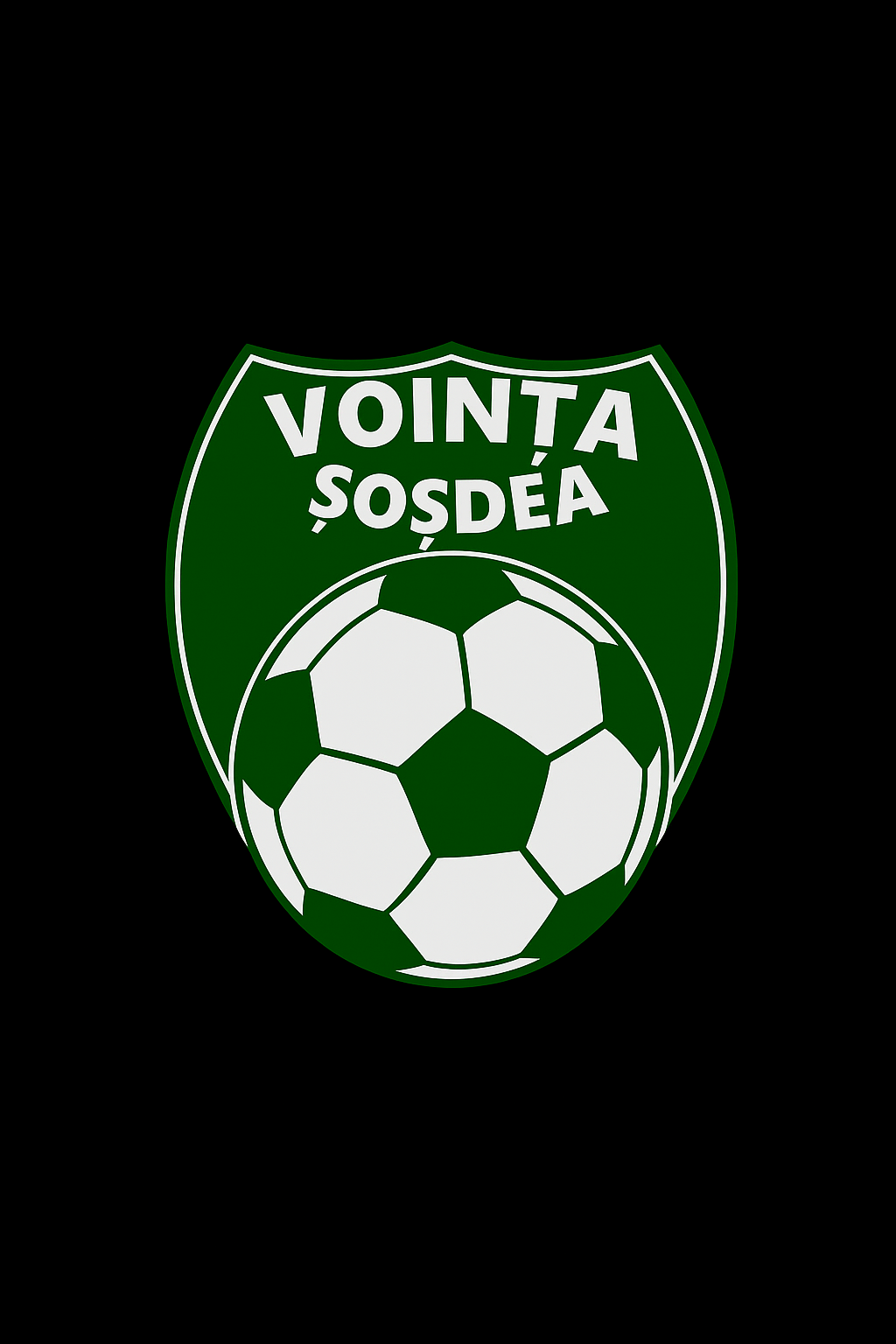 CSC VOINȚA ȘOȘDEA
