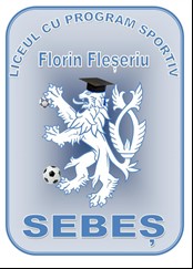 Liceul cu Program Sportiv Florin Fleseriu
