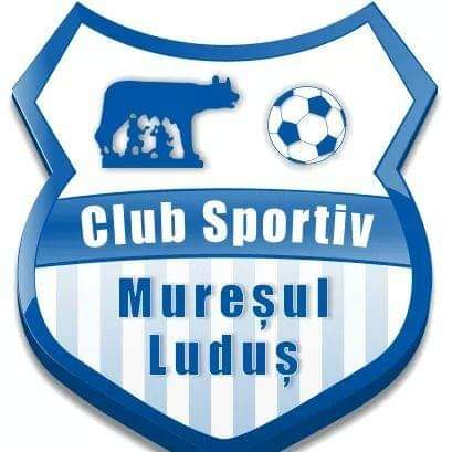 Muresul Ludus