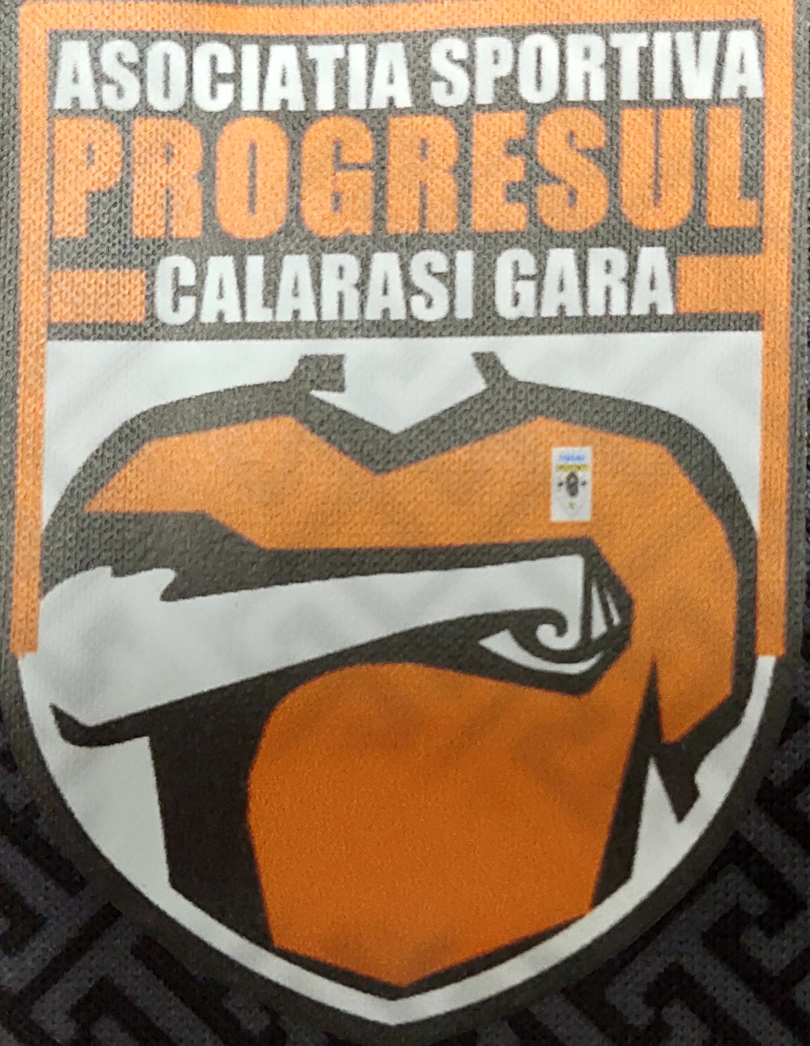 AFCS PROGRESUL CALARASI GARA