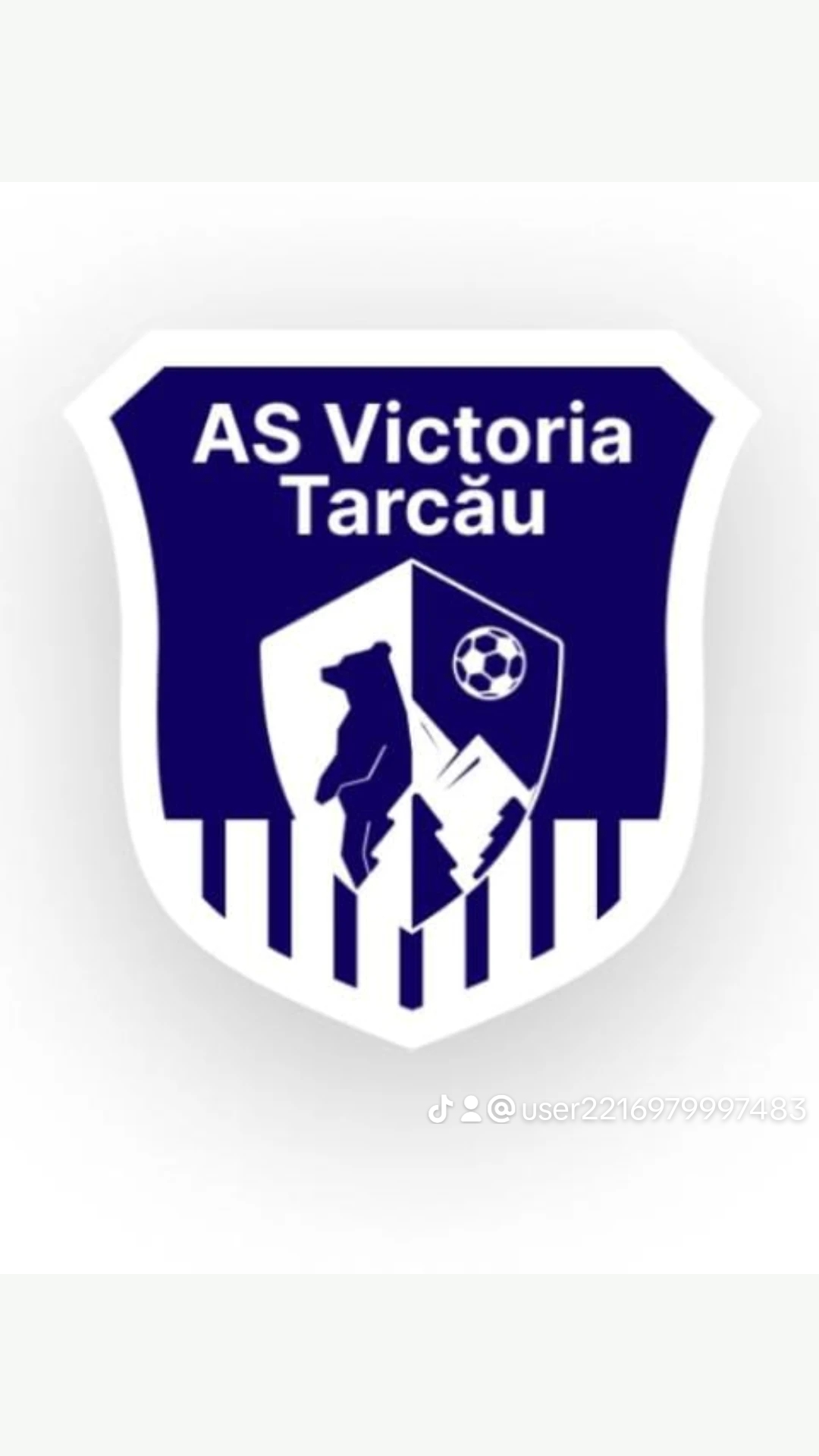 Asociația Sportivă Victoria Tarcău