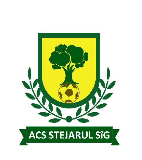 Asociația Club Sportiv Stejarul Sîg
