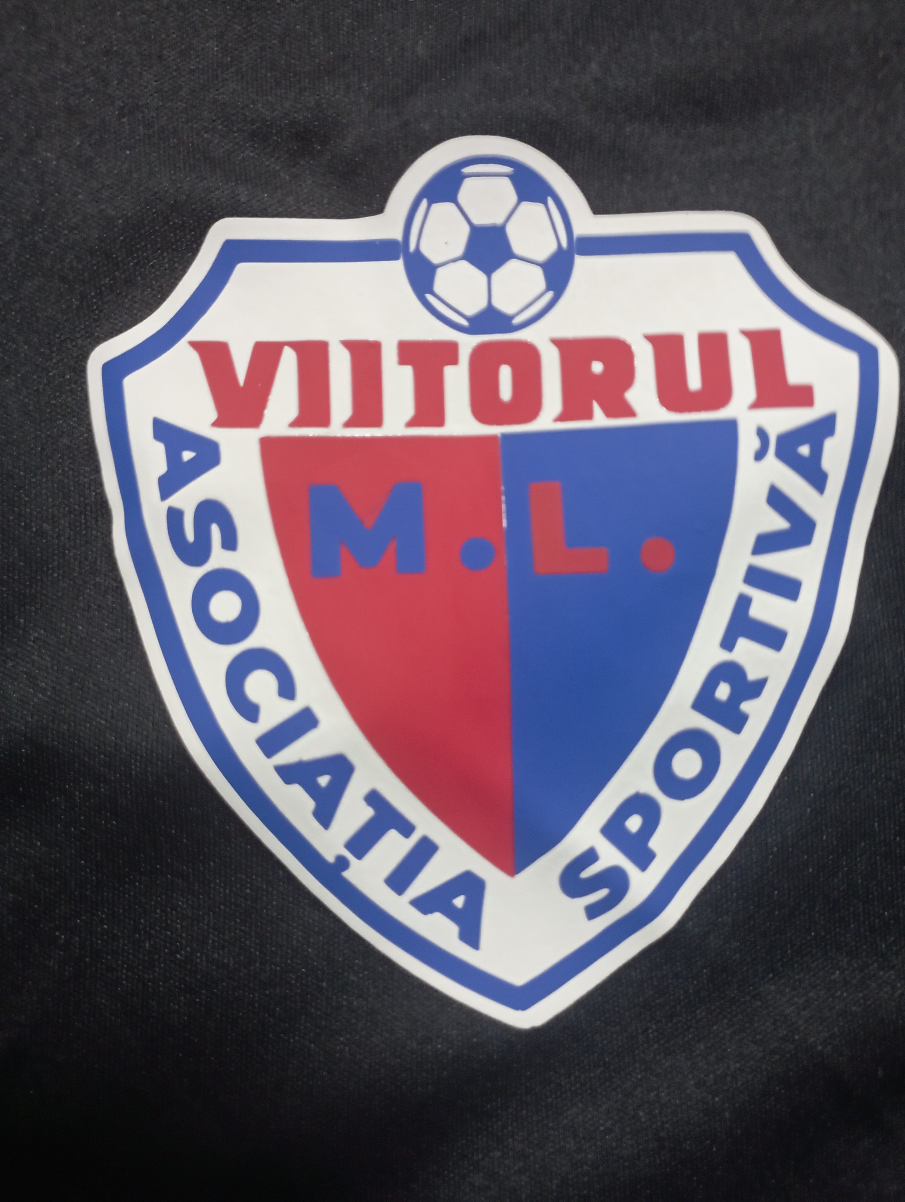 Asociația Sportivă Viitorul M.L.